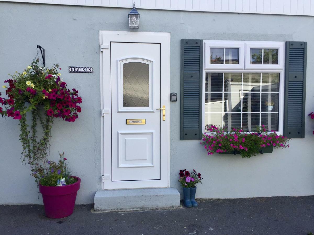 Graisin Lejlighed Kilkenny Eksteriør billede